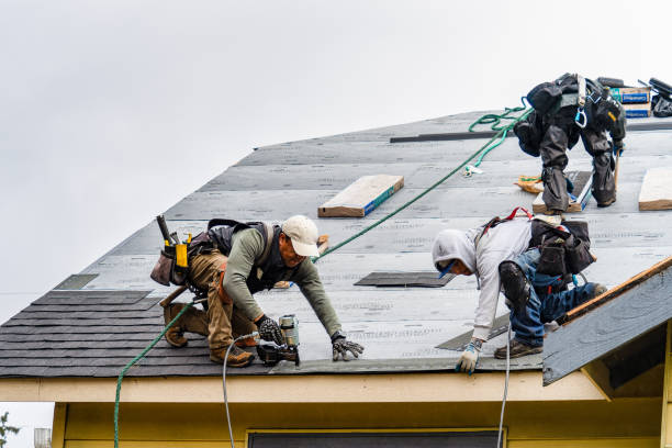 Professional Roofing technician working in Manvel, TX